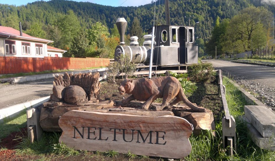 Estudiantes de la Universidad San Sebastián realizan jornadas de voluntariado en Neltume dlvr.it/RMcdPY