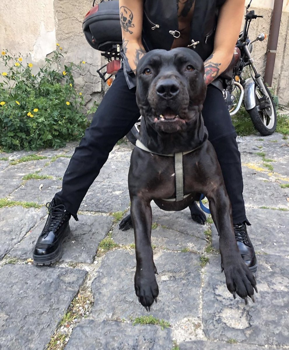 𝘌𝘛 𝘙𝘌𝘚𝘜𝘙𝘙𝘌𝘊𝘛𝘐𝘖𝘕𝘐𝘚 𝘌𝘙𝘐𝘔𝘜𝘚.