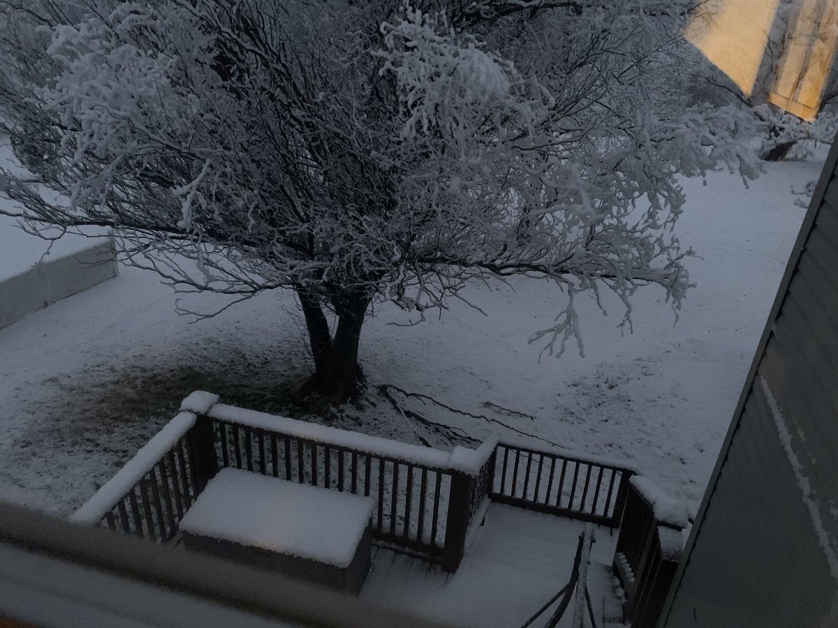 RYAN ROSENTHAL tweet media