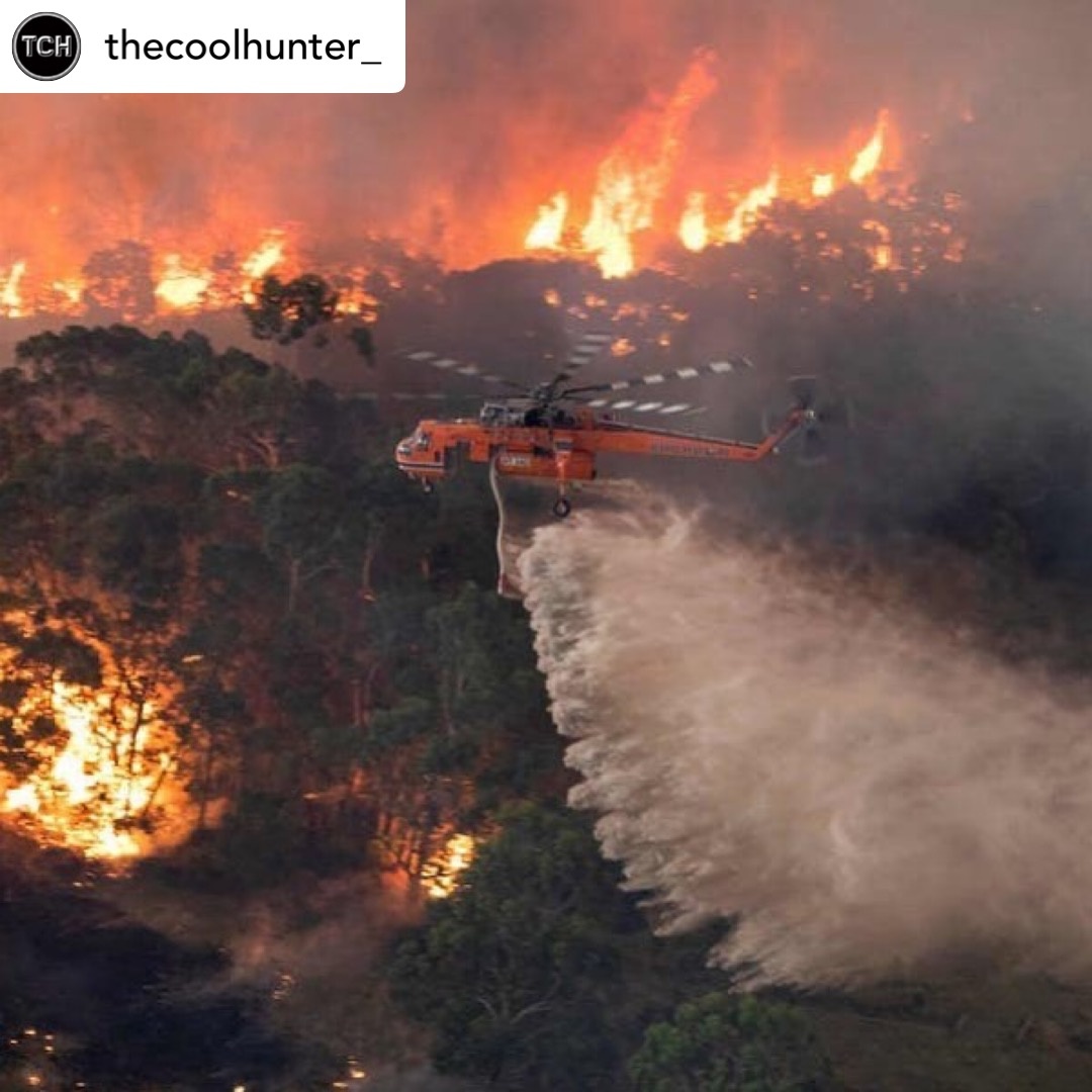 sandboxyyc's tweet image. Our AM, @Jacstar shared with us the turmoil going on within her home country, Australia and we wanted to share this post to support our Aussie friends. 

facebook.com/donate/1507364…

fundraise.redcross.org.au 

facebook.com/donate/1386120… 

salvationarmy.org.au 

wwf.org.au