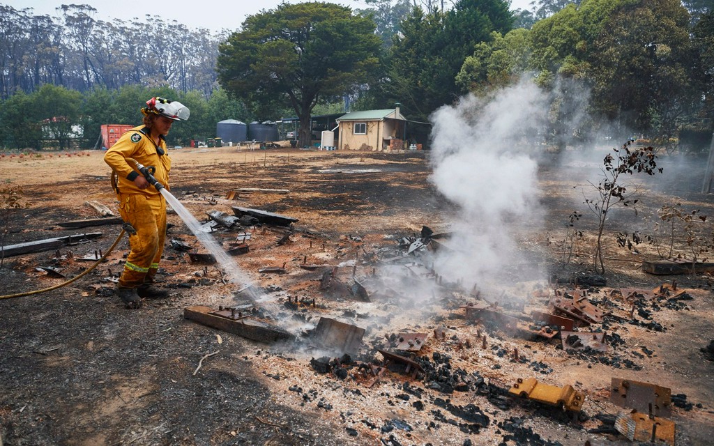 TravelLeisure's tweet photo. How to help people and animals affected by the Australia wildfires https://t.co/wocJMHjjTI https://t.co/eUJv33nHiL