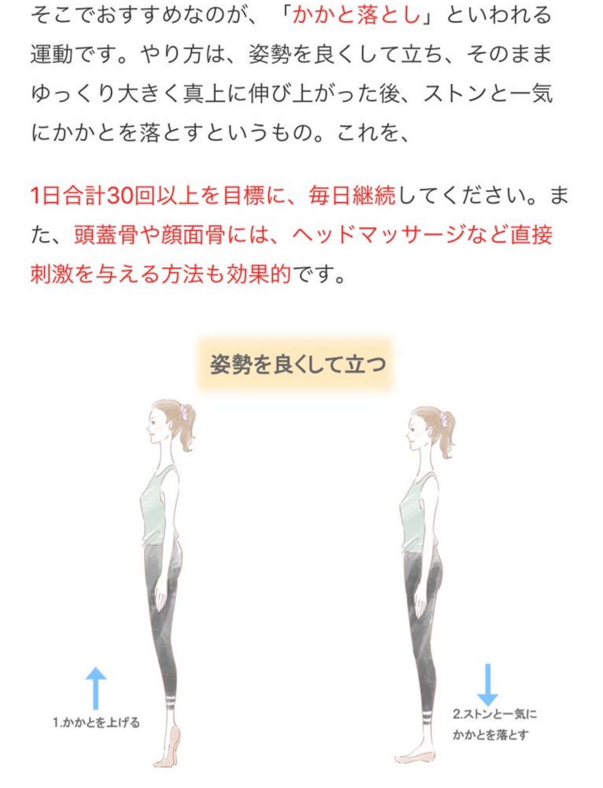 𓂃 室長さん これこわい 顔の骨がやせるとシワやたるみになって老けるらしい おでこが平坦 になる こめかみがへこむ アイホールが拡大 鼻の穴が横に拡大 あごが短くなる だから年とると顔が変わるのか 骨