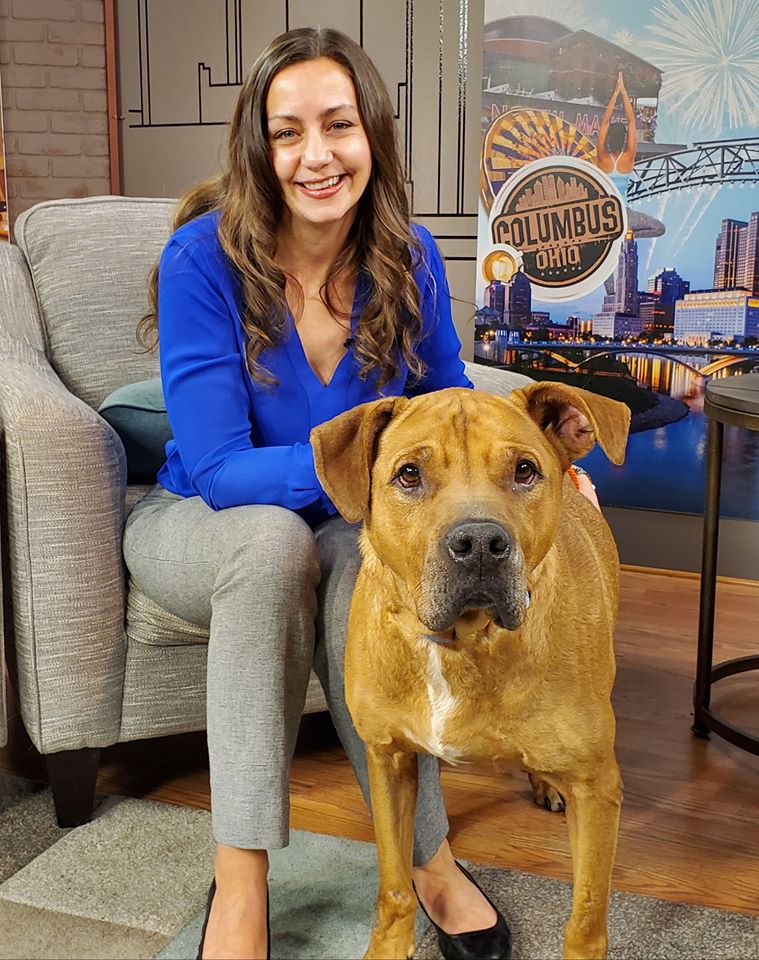Hank made his camera debut with <a href="/BobNBC4/">Bob Nunnally</a> at <a href="/nbc4i/">NBC4 Columbus</a> today. We always knew Hank was a star! Stop by to visit Hank and our other adoptable friends at Columbus Humane.