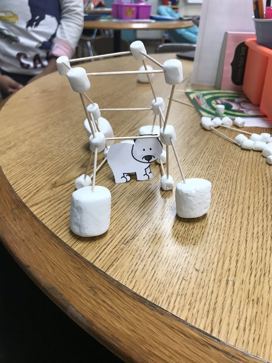 Mrs_Williams8's tweet photo. A few of our polar bear habitats from today’s STEM challenge ❄️ https://t.co/XO3bxKTKAP
