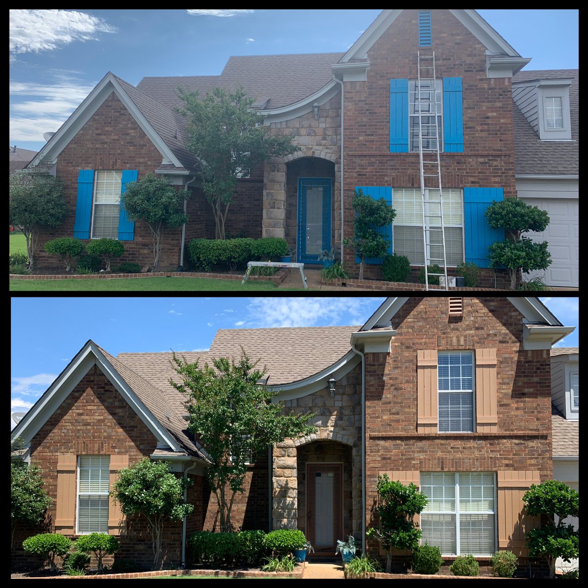 CCPapa Bear 🐻 tweet media