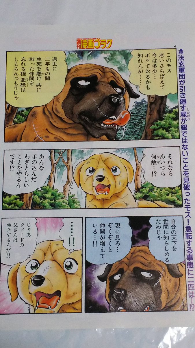 中原伸明 در توییتر 銀牙伝説weed 銀牙流れ星銀 銀牙 銀牙伝説weed 第１５４話の 巻頭カラーです 懐かしいモスが カラーで登場 法玄軍団が 運んでいる銀を 確認したモス メルと別れを告げて 再び 燃え上がるモスがいいね T Co