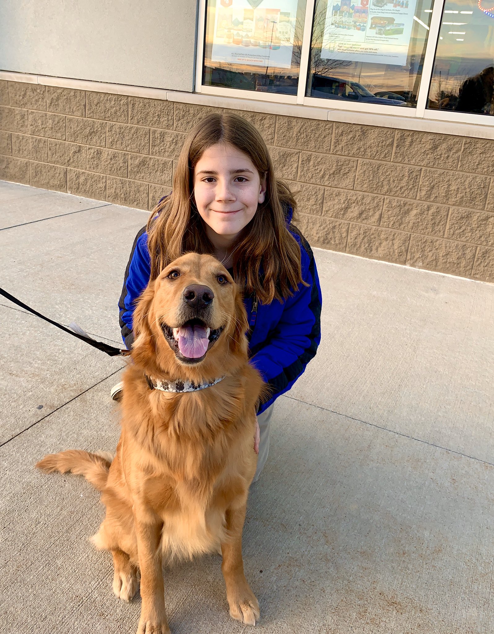 are golden retrievers hyper