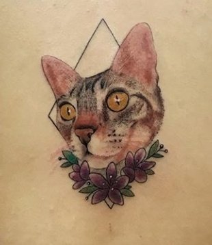 DirectaMinita's tweet photo. @gatitos_qctd Mi bebé por siempre en mi piel... Mi cleo 💕 https://t.co/NgedhpbPHW