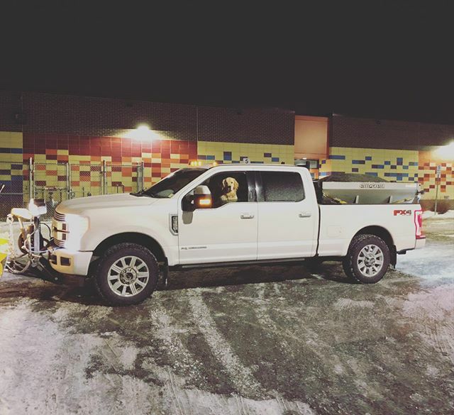 lllprojects's tweet image. Number one salt truck driver out in the city of Ottawa. #golden #snow #salt #pup ift.tt/39NzDqf