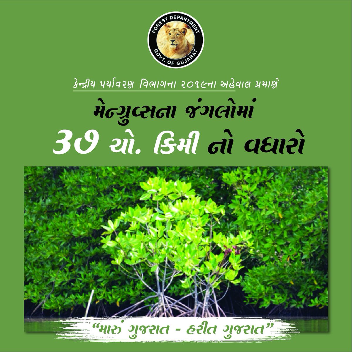 #મેન્ગ્રુવ્સ બહુજ ઉપયોગી વનસ્પતિ છે જે દરિયાકિનારાનું રક્ષણ કરે છે, દરિયાઈ જીવો માટે રહેઠાણ અને ખોરાક પૂરો પાડે છે, કિનારા નજીકના પાણીની ગુણવત્તા જાળવી રાખે છે. આવી અતિઉપયોગી વનસ્પતિનો, કેન્દ્રીય પર્યાવરણ વિભાગના અહેવાલ મુજબ , ગુજરાતમાં 37% જેટલો નોંધપાત્ર વધારો થવા પામ્યો છે.