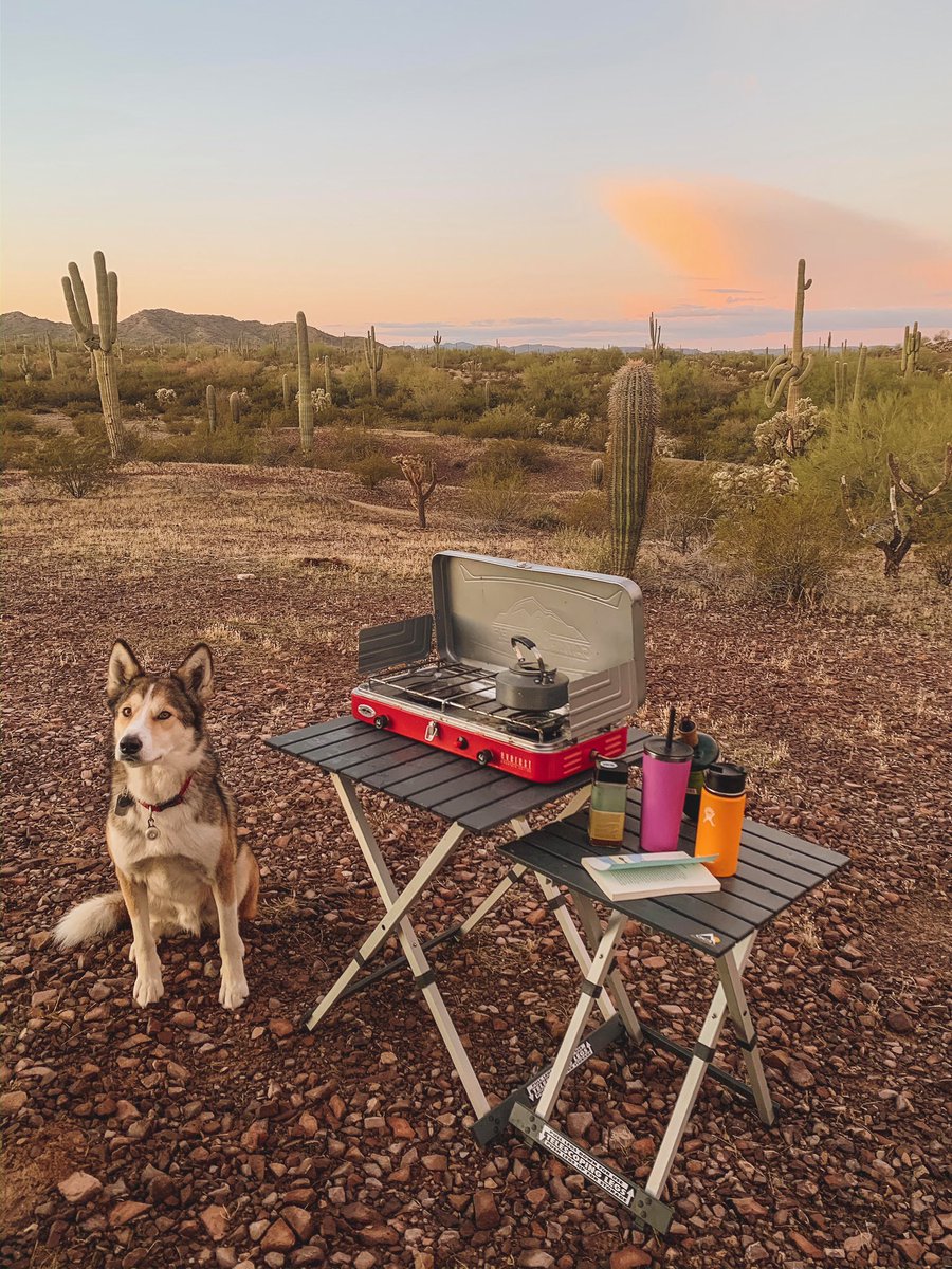 Is it dinner time yet? Sous Chef Jasper is eagerly awaiting the goodness being served up from Kelsey’s dreamy #desert #campsite #kitchen.