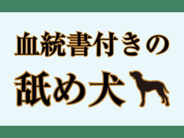 クンニ藤川 舐め犬ブログ界のレジェンド ブログ更新 血統書付きの舐め犬 年1月 T Co Qhs4gf9syq 性病検査 T Co Kjecktwhvb Twitter クンニ藤川 舐め犬ブログ界のレジェンド ブログ更新 血統書付きの舐め犬 年1月 T Co Qhs4gf9syq 性病検査 T Co Kjecktwhvb Twitter