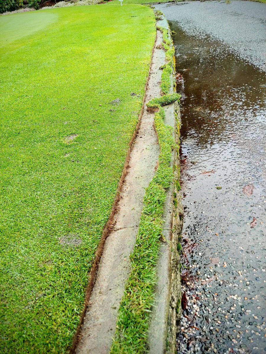 turfmow's tweet photo. The difference between good and great is often found in the details.

Gaining back some paths from the super poa here on the coast.
#ilovedetails #teamwork @CordovaBay #edgetime https://t.co/nR9Le29bMC