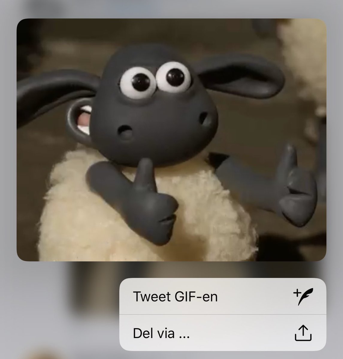 Oyvind Solstad tweet media