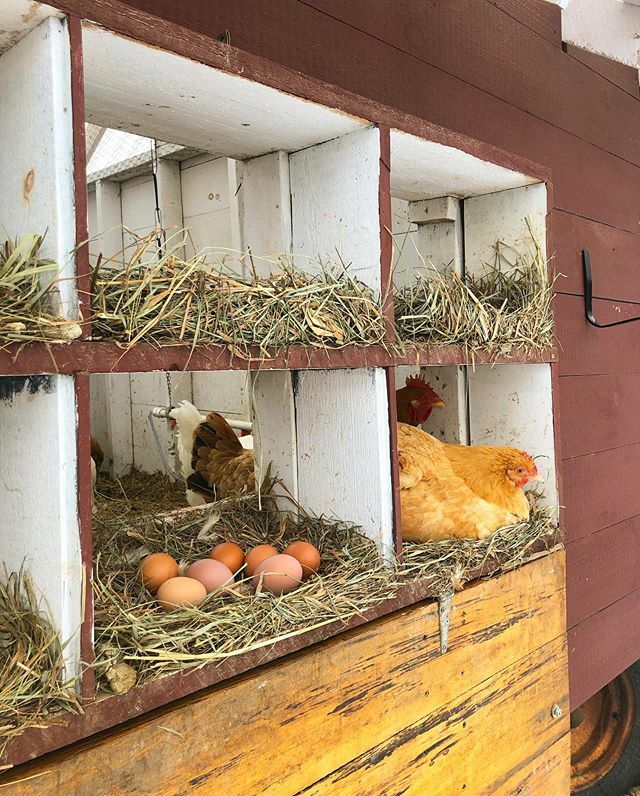 Studio Hill tweet media