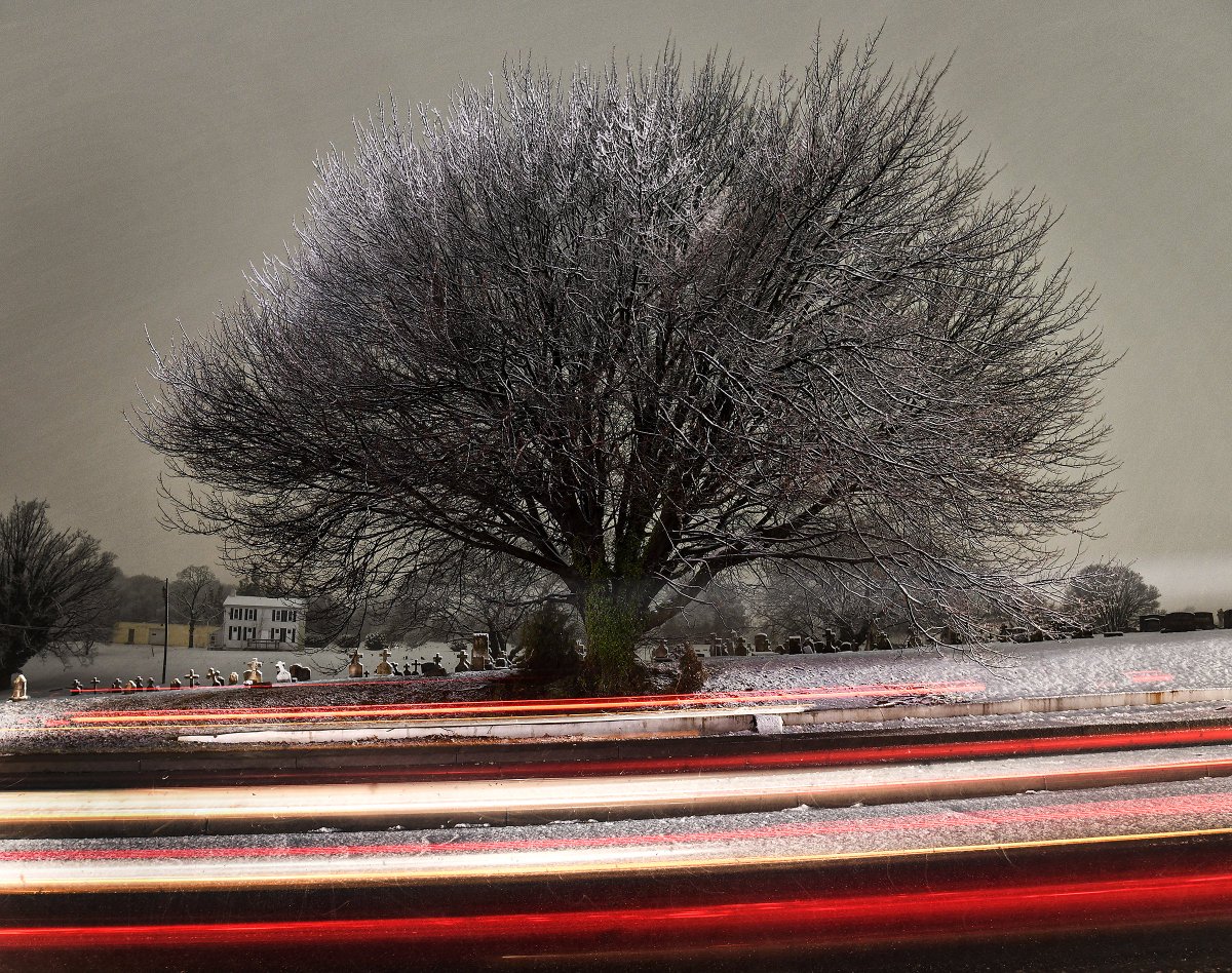 pwgphoto's tweet photo. This may be my favorite tree. I now seem to stop and photograph it whenever it snows. It's at the Holy Cross Cemetery on Ritchie Hwy in Brooklyn Park. Long exposure on a tripod. It was actually pretty dark outside. #FirstSnow2020 https://t.co/XhyEfizvhC