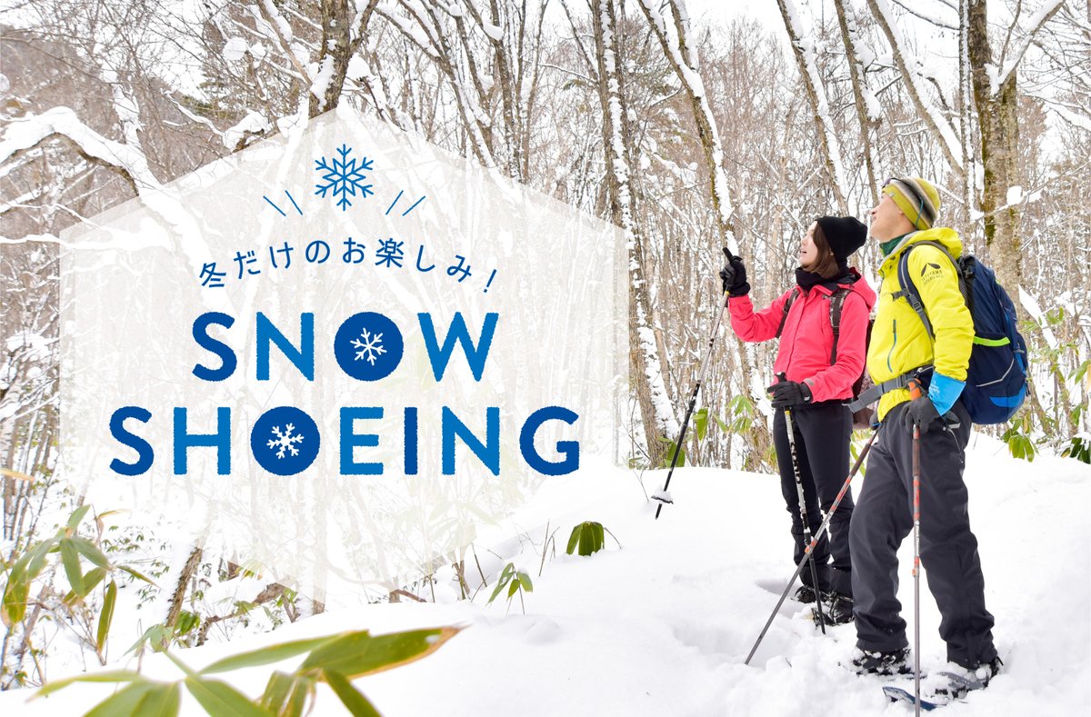 GiFUMATiC's tweet photo. ＼ 季節のピックアップ！／
冬だけのお楽しみ♡雪が積もった森を歩く「スノーシューハイキング」をご紹介します。ふかふかな新雪の上を歩く気持ち良さは格別！大人から子どもまで気軽に楽しめるので、家族やお友達と冬のレジャーに出かけてみてください♪#スノーシュー #岐阜
https://t.co/Bdr6TPfoth https://t.co/MEn8HCdCEN