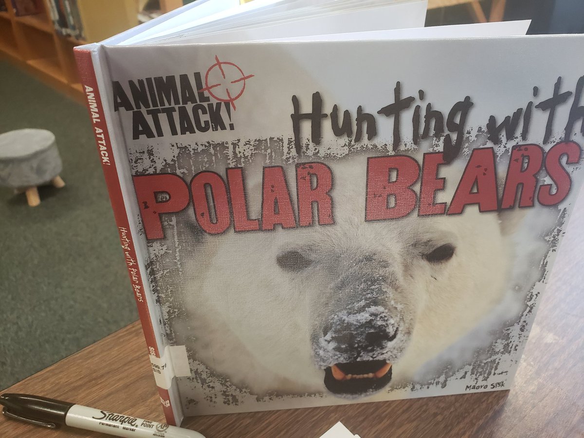 aes_dville's tweet image. 2nd grade students generated questions about Polar bears before reading informational text.
@DISD_Libraries @LisaPCurry1 @DurantChief @sdterry745 @maxielpastor  #engage2learn #Librariesforlearning #AASL #2020DISDLIBS