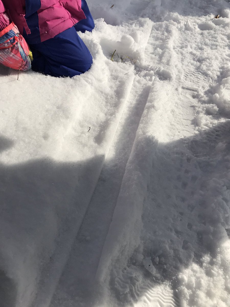 Today the Cardinals visited the forest and we noticed different kinds of tracks. We saw animal tracks, foot tracks, straight tracks made by skis and bumpy tracks made by fat tires. Please ask your child about our adventure in the forest today! <a href="/mrs_bennettkhps/">Laura Bennett</a> <a href="/KanataHighlands/">KanataHighlands</a>
