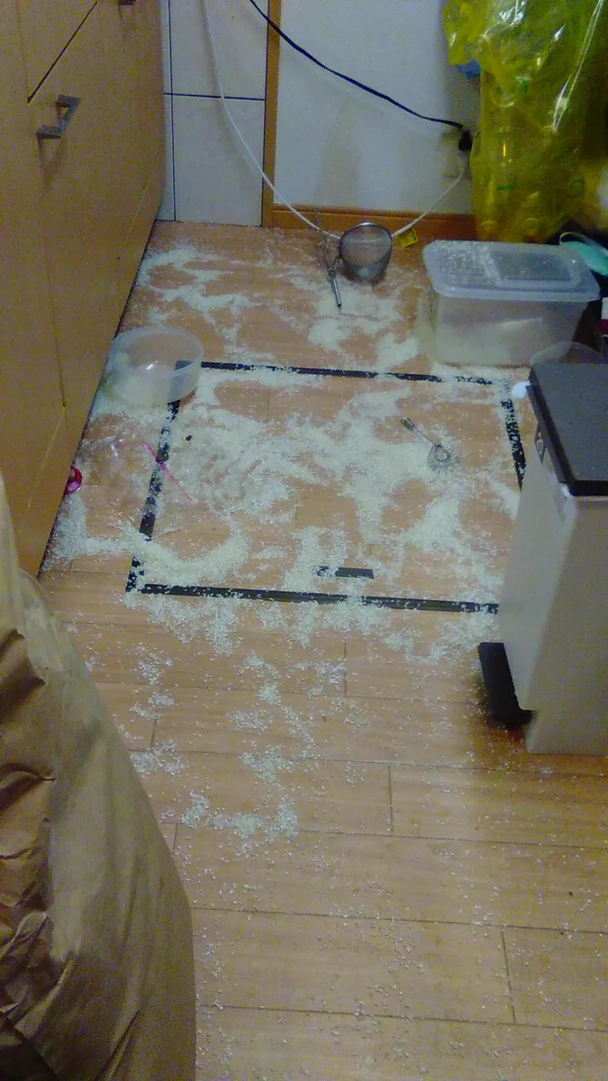 米騒動！？4歳児がお米を炊こうとした結果がこちらｗｗ