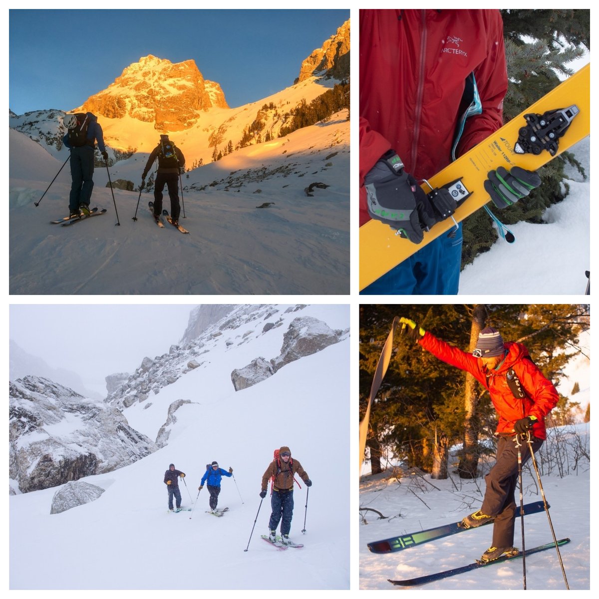 Twitter Profile Sotwe