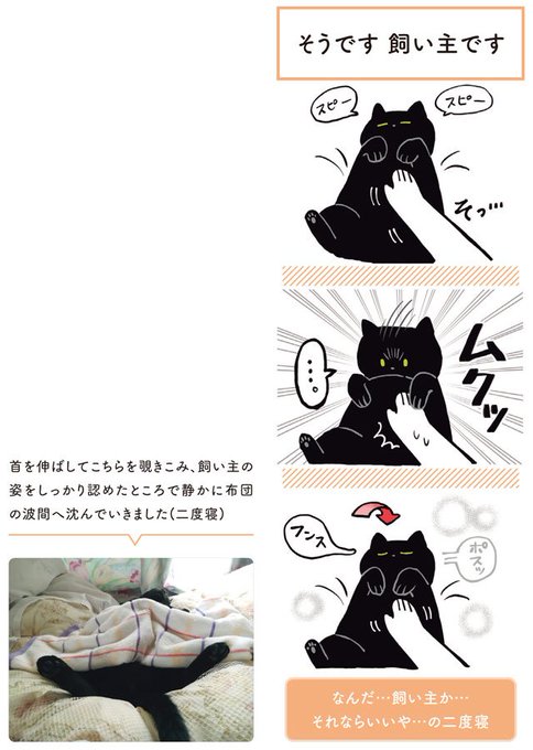 黒猫ろんと暮らしたら を含むマンガ一覧 ツイコミ 仮