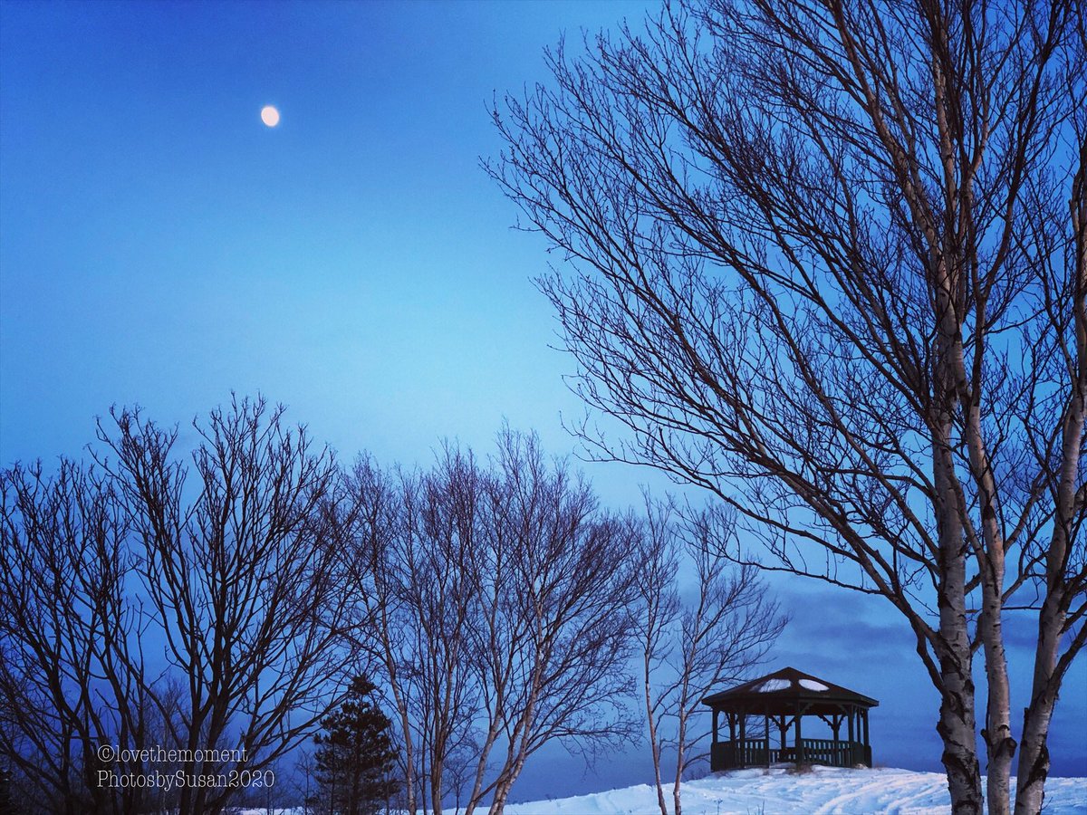 Suz0223's tweet photo. Every moment is undeniably Beautiful!🥰 #lovethemomentphotosbysusan https://t.co/Dk8Mjx9M52