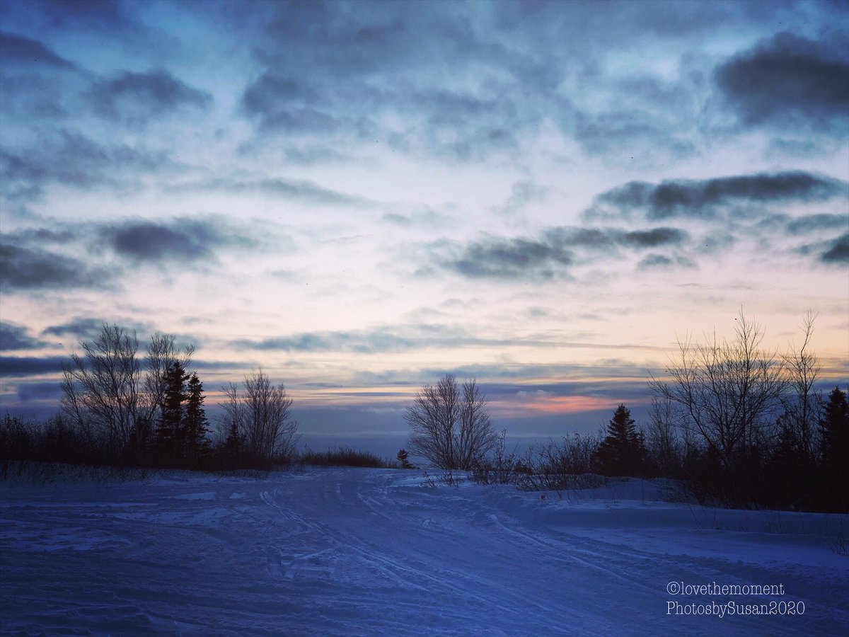 Suz0223's tweet photo. Every moment is undeniably Beautiful!🥰 #lovethemomentphotosbysusan https://t.co/Dk8Mjx9M52