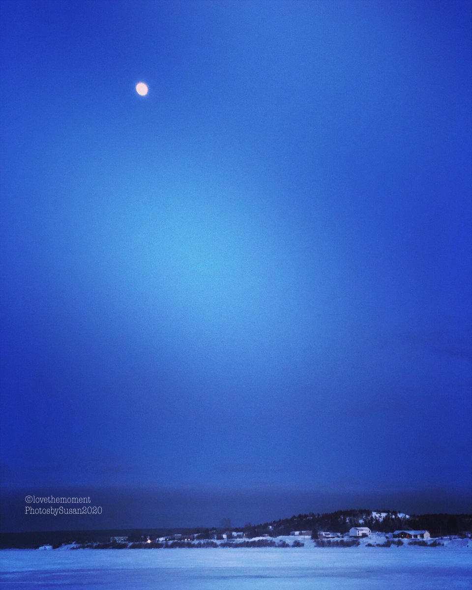 Suz0223's tweet photo. Every moment is undeniably Beautiful!🥰 #lovethemomentphotosbysusan https://t.co/Dk8Mjx9M52
