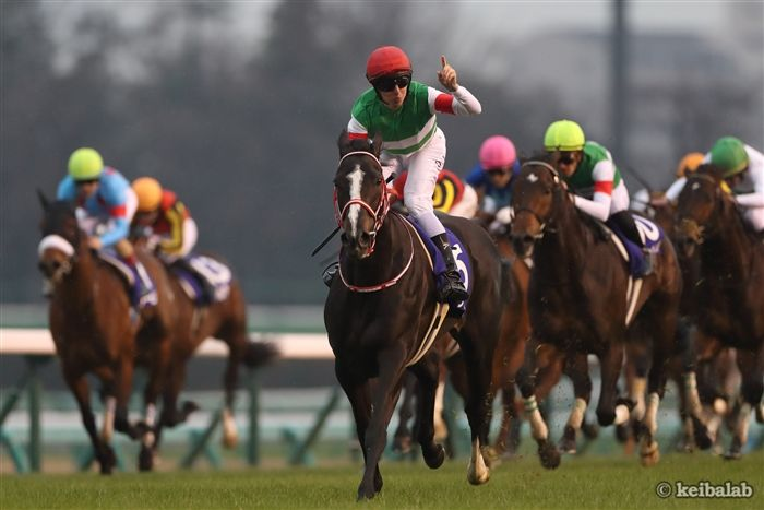keibalab's tweet photo. 【年度代表馬＆最優秀4歳以上牝馬】
☆リスグラシュー
有馬記念1着
コックスプレート1着
��塚記念1着
#競馬 #keiba #リスグラシュー 
https://t.co/BFeQcsLoIJ https://t.co/iHgvhKmfGU