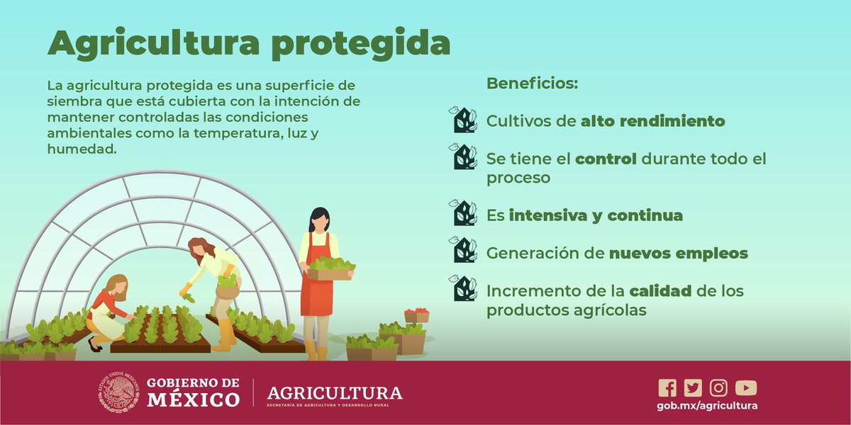 Secretaría de Agricultura y Desarrollo Rural tweet media