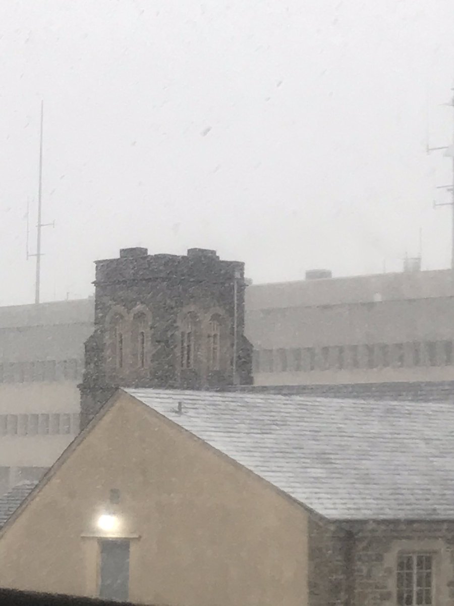 WilNobles's tweet photo. Send real snow gear plz #snowmore? https://t.co/jcG2RCRBHt