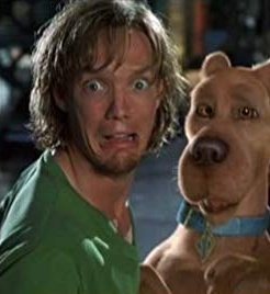 35polak's tweet photo. @martudainesi faaa shaggy siempre metido en el bardo https://t.co/bBDWk5zGD3