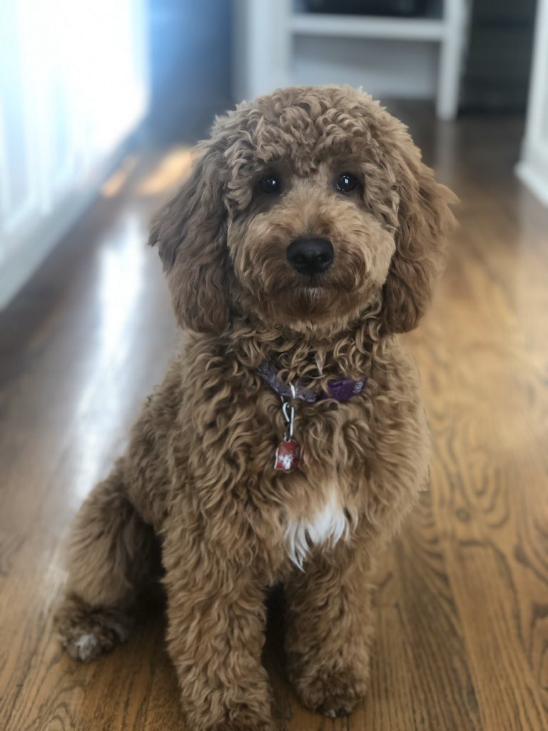 Elizabeth Clement tweet media