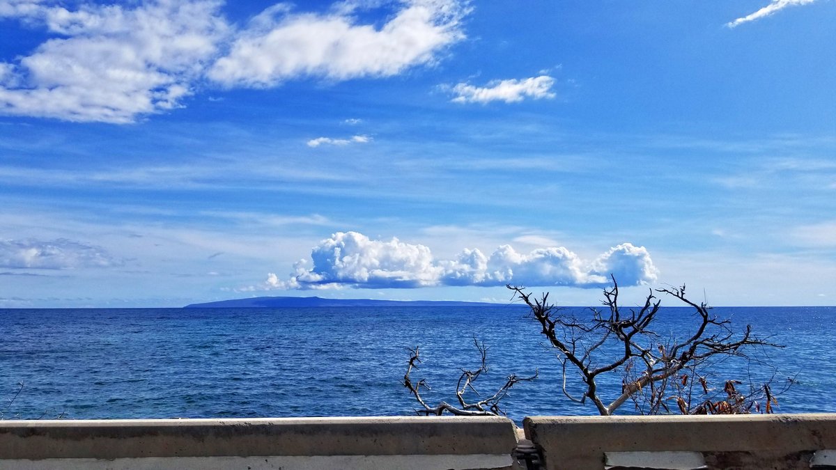AltheaHeals's tweet photo. I always believe that the sky is the beginning of the limit - MC Hammer Maui #believe #sky #limit #mchammer #creativeclearings #altheaheals https://t.co/9dowEt0TZT
