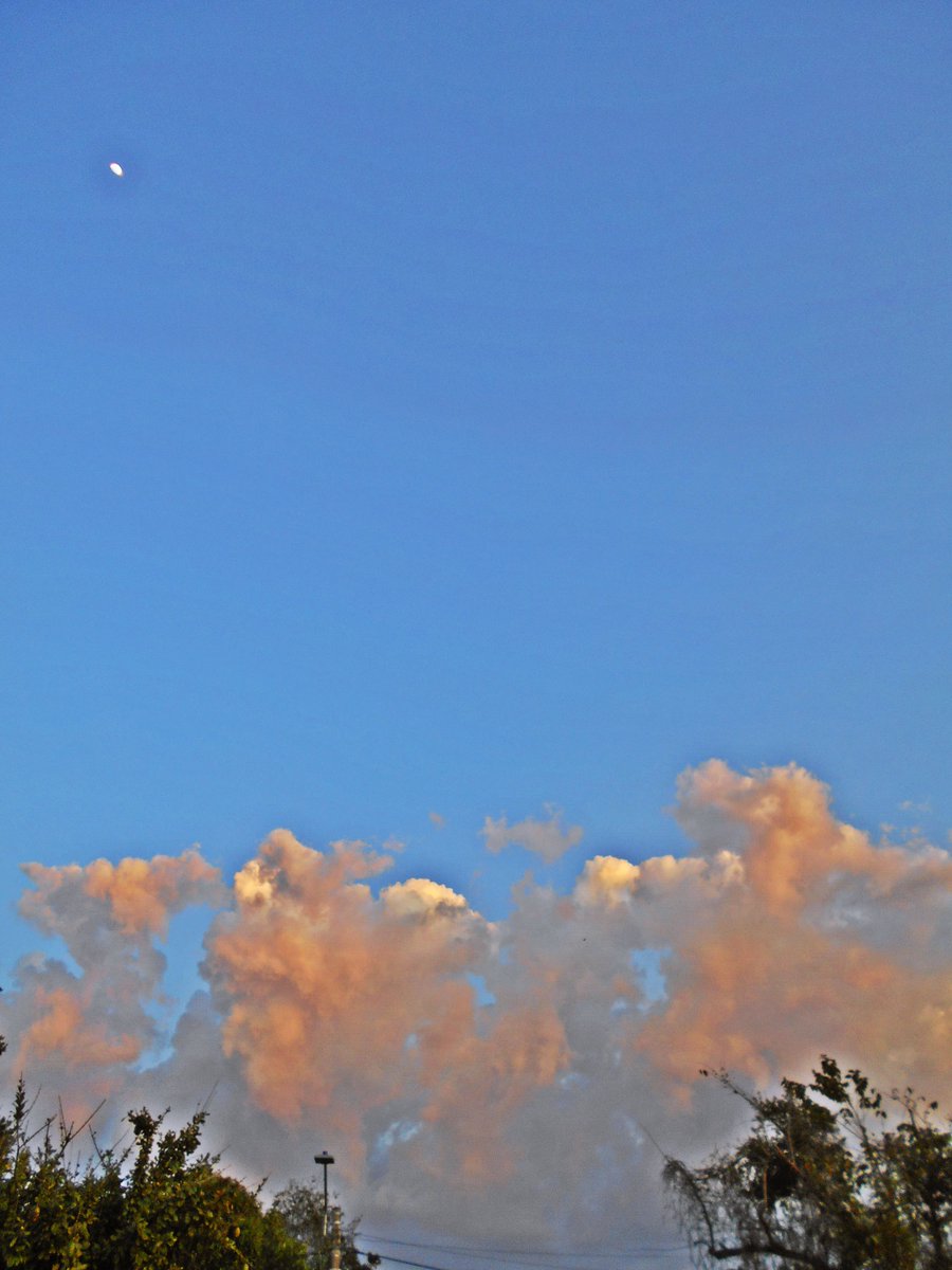 JoseTomasValeta's tweet photo. Cielos de Enero
#Ataredecer @Sampuessucre https://t.co/pED4yG292w