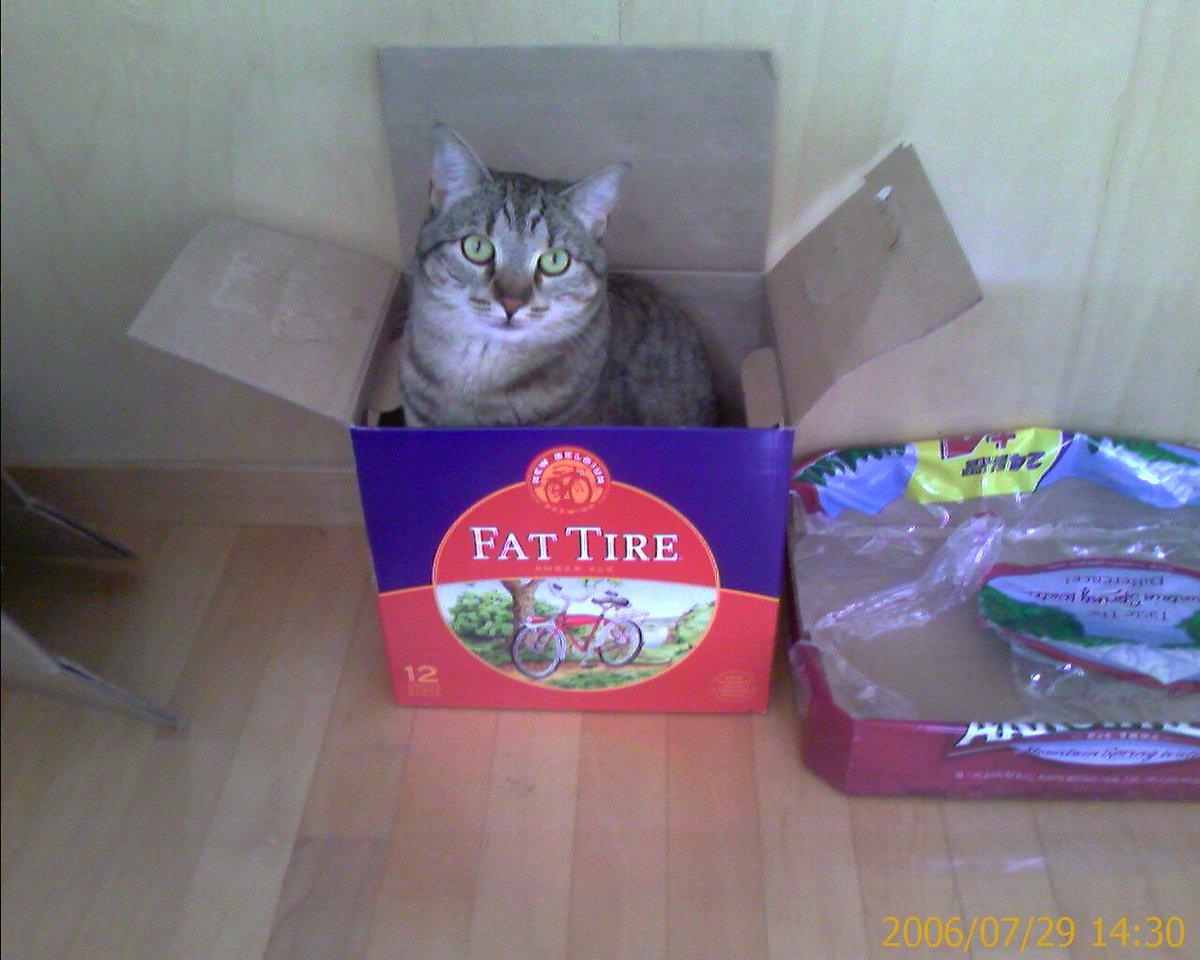 shownotfound's tweet image. On Jan 1st, my partner and I had to say goodbye to our furry friend of 15 years. We rescued her from a deck underneath one of our rental properties and gave her the best life that we knew how. She will sorely be missed, and will never be forgotten. RIP, Snoof.