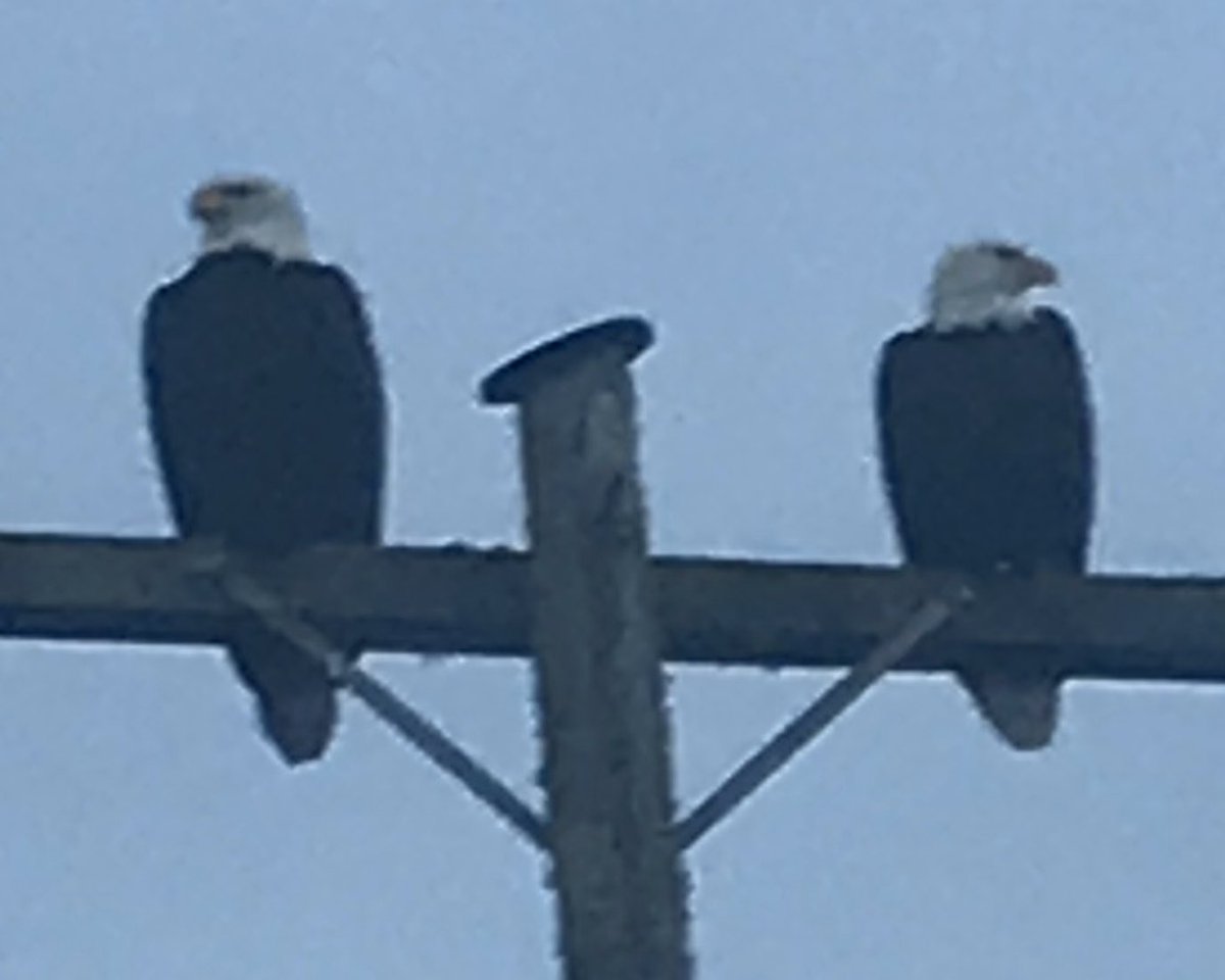 Sandra Knuth (@cyclegirl2) on Twitter photo 