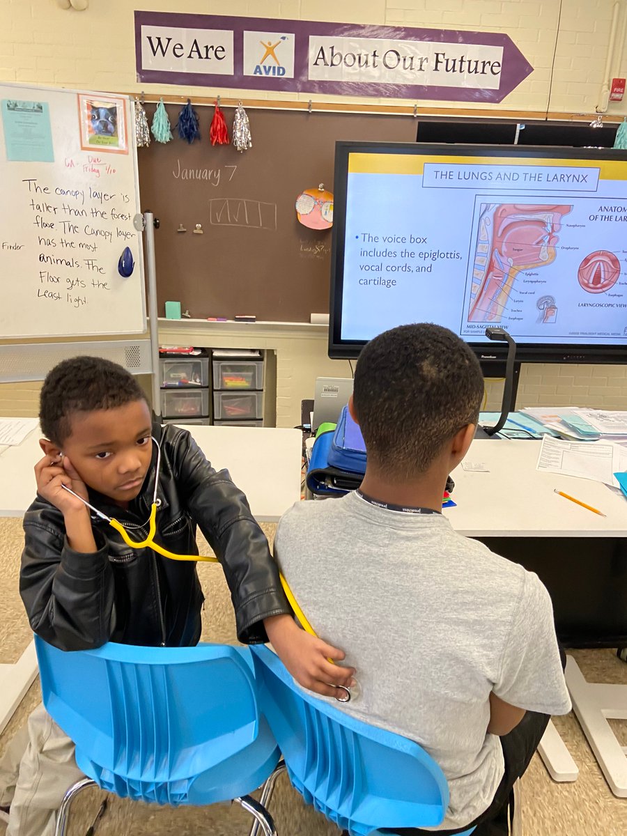 Health Sciences Magnet (@grms_magnet) on Twitter photo Health Sciences students learning about the respiratory system through the Lung Health Awareness Program! <a href="/GoldenRingMS/">Golden Ring</a> <a href="/panagis21/">Panagis Galiatsatos, MD, MHS</a> <a href="/sfanshaw/">Stephanie Fanshaw</a> <a href="/MiVidaMParham/">MiVida M. Parham (She/Her)</a> Health Sciences students learning about the respiratory system through the Lung Health Awareness Program! <a href="/GoldenRingMS/">Golden Ring</a> <a href="/panagis21/">Panagis Galiatsatos, MD, MHS</a> <a href="/sfanshaw/">Stephanie Fanshaw</a> <a href="/MiVidaMParham/">MiVida M. Parham (She/Her)</a>