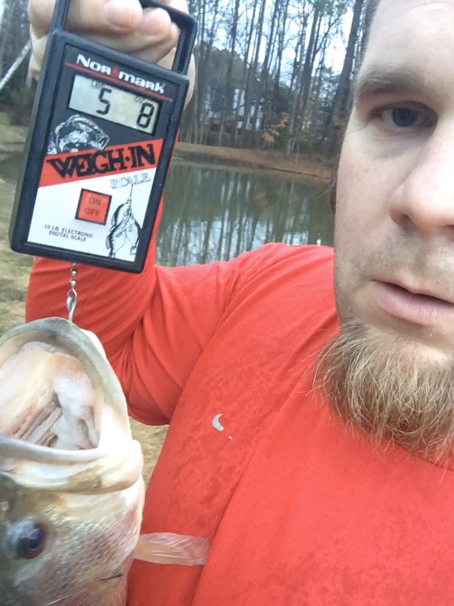 AdamBanwarth's tweet photo. @TrinityFishing  PB on Saturday in the rain! 5lbs 8oz. https://t.co/XW58t5p3OG