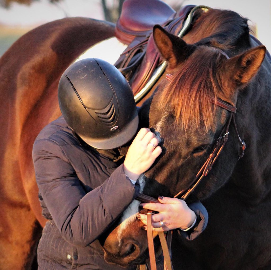 JenRoytz's tweet photo. #NeverEclipsed #AffirmedArch #BrownsteadBred https://t.co/na2Hn4ONBM