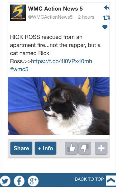dans_plann's tweet photo. Tonight my family had to put down a member of our family due to heart complications. He was known by the world as Rick Ross, but to us a number of names. π #RIPRickRoss https://t.co/G4neDemCeP