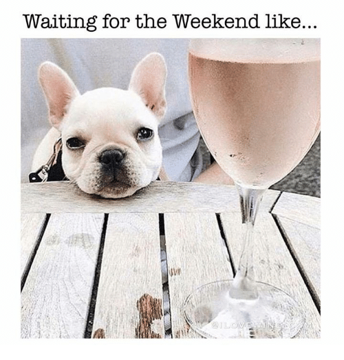 Level10GF's tweet photo. We feel you. 
⬇️Level 10 hours⬇️
Thursday - Friday - Saturday 9 PM - 2 AM https://t.co/Ns5SXhU67W