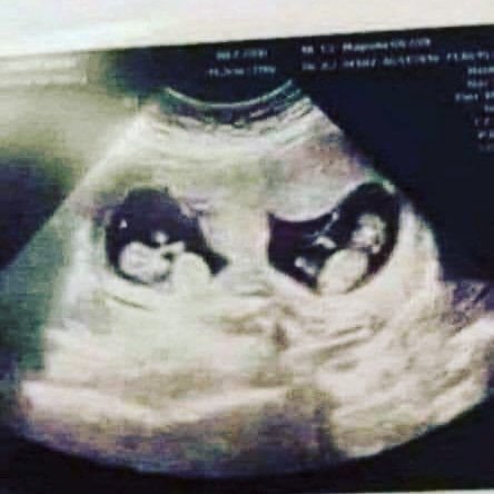 Well... Just when I thought my chapter was full. I didn't think this year could get any more busy, but<a href="/tag/ha"class="tags"><span>#ha</span></a>