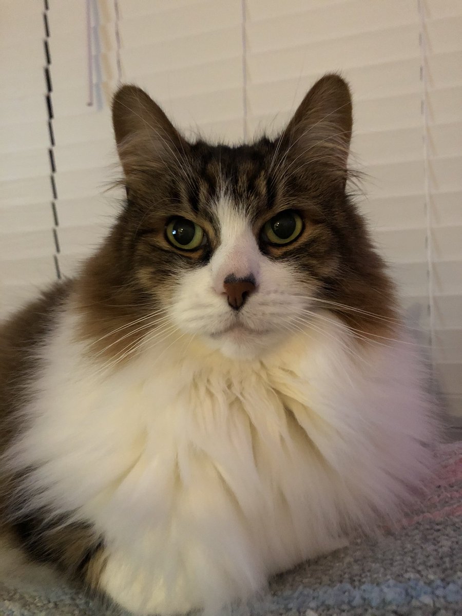 ilovetofuzz's tweet photo. What!?! https://t.co/GhYmAocwbY