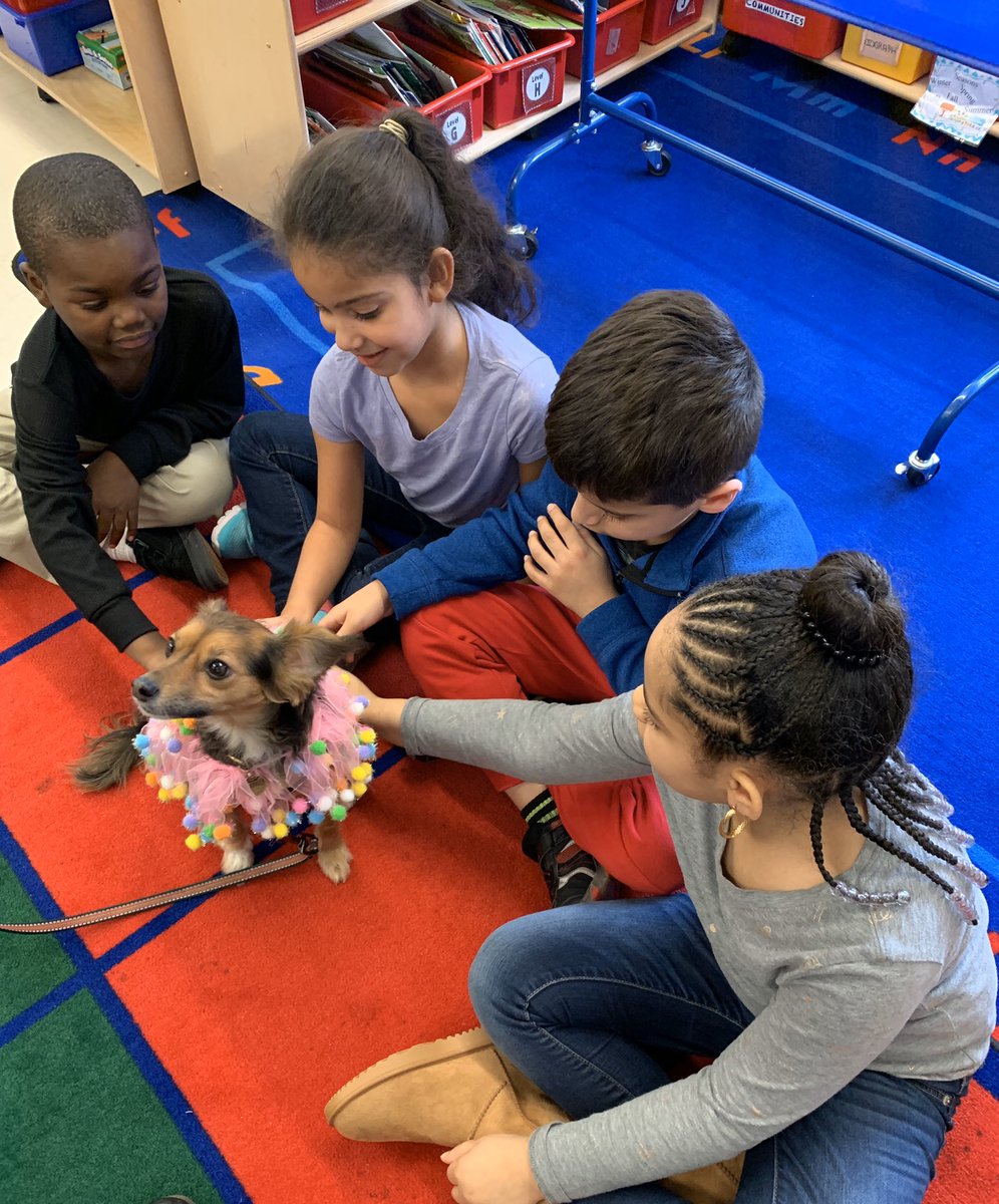 We got to hang and learn with Juno on her birthday yesterday! Happy Belated 3rd Birthday <a href="/Juno76Q/">Juno</a>