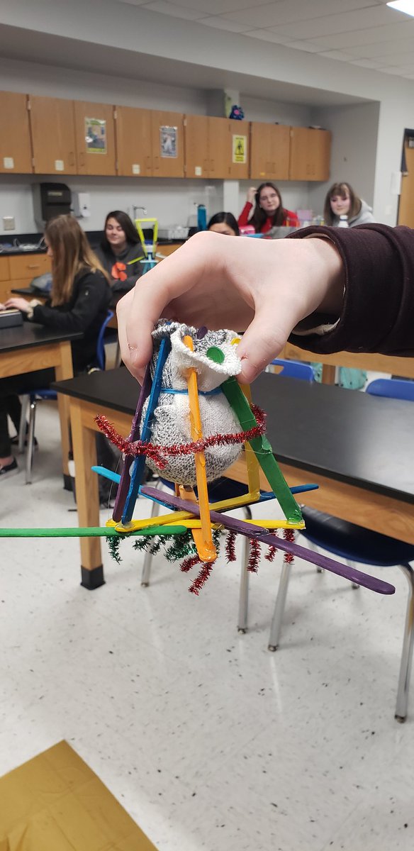 RotoliScience's tweet image. Block 1 Egg Drop ‐ there were some very creative ideas!