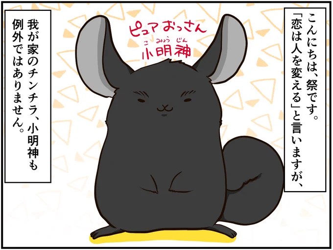 チンチライフ!の最新回が更新されています～??今回もダメ夫小明神?続きはURL?#チンチラ#chinchilla#ペット#エッセイ 