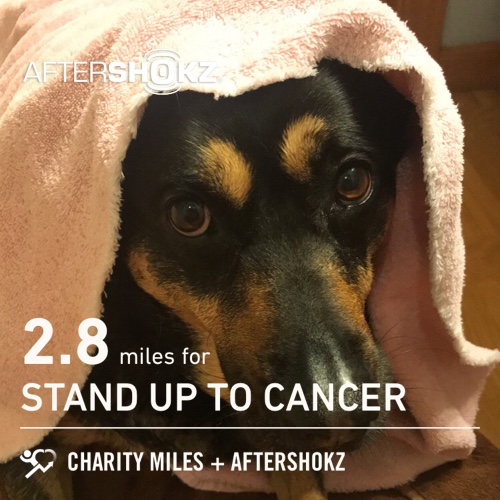 2.8 @CharityMiles for @SU2C. Thx @Aftershokz for sponsoring me. #ShokzMiles https://
charitymiles.org/aftershokz #HopeOnTheMove