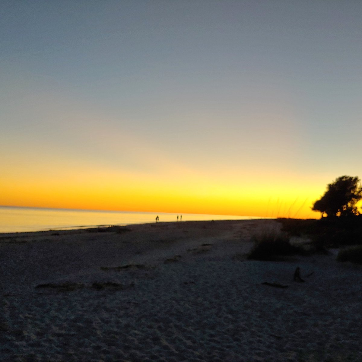 sandjar's tweet photo. Appreciating the beauty of our planet and the opportunity to enjoy it with a group of new friends at #GROUP2020 today. https://t.co/3853olpxiH
